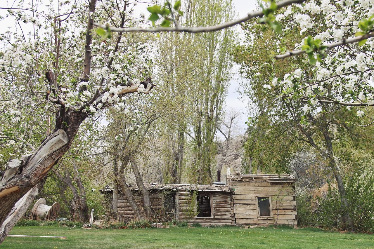 Hidden Canyon Retreat Baker Екстериор снимка